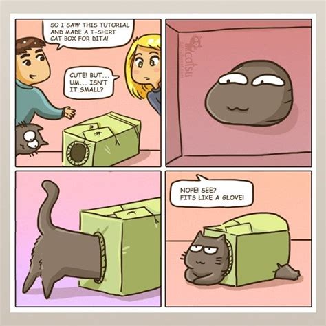 12 Comics That Are Too Realistic When It Comes To Living With A Cat