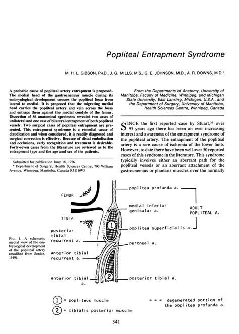 Pdf Popliteal Entrapment Syndrome