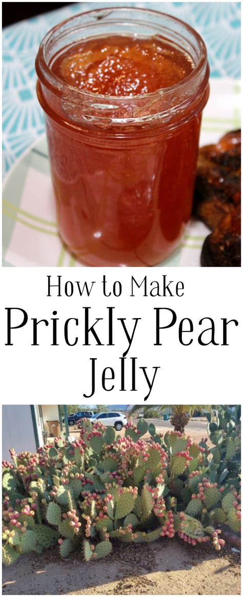 Prickly Pear Jelly