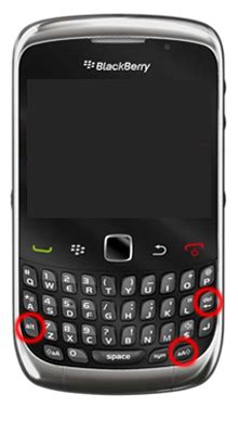 Blackberry Curve Data Erasing Instructions Email