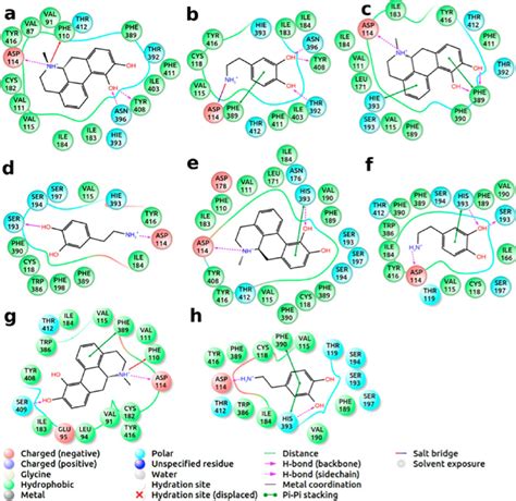 2d Ligand Interaction Diagrams For Docking Poses Of Apomorphine And