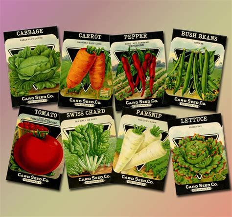  Digital File Images Of 16 Vegetable Seed Packets Vintage Etsy Uk