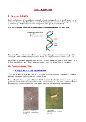 Sujet UE 2 UE 2 1 S1 infirmier IDE PARTENARIAT UNIVERSITÉS DE