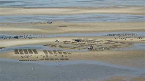 Oyster Farming Aerial Stock Footage and Photos - 3 Results | Axiom Images