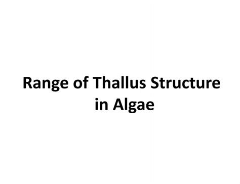 Range of Thallus Structure in Algae