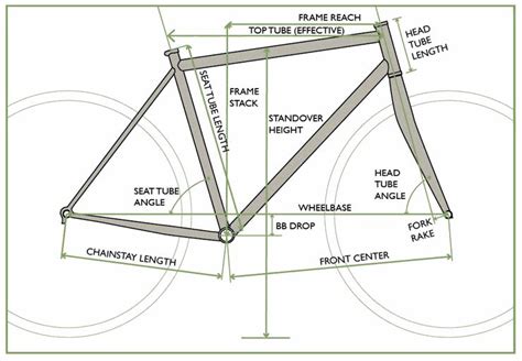 Bianchi Impulso Size Guide Hotsell Frets