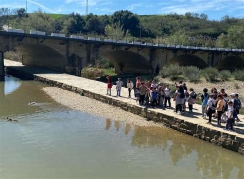 D A Mundial Del Agua En C Diz Estudiantes Descubren Los R Os De La