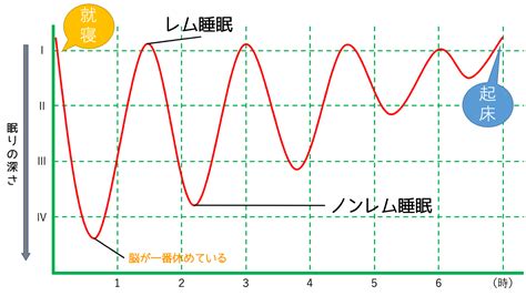 睡眠の生理④ノンレム睡眠とは 身体調整