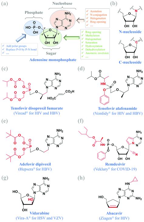 Adenosine monophosphate (a), N-nucleoside and C-nucleoside (b), and six ...