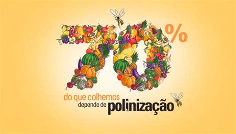 Meliponario Pivoto Sem Abelha Sem Alimentos