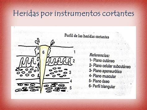 Dr Miguel Ngel Nieto Muriel Universidad Tecnologica De Los Andes Del