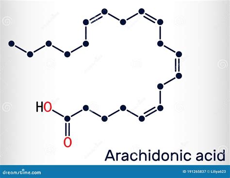 Arachidonic Acid Aa Ara Molecule It Is Unsaturated Omega Fatty