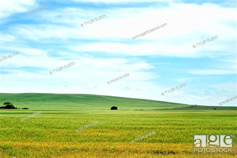 Prairie Landscape, Stock Photo, Picture And Low Budget Royalty Free ...