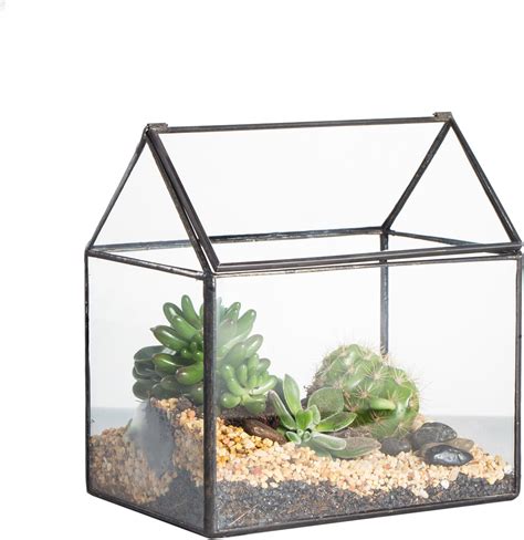 Amazon Giadun Large Glass Terrarium House Planter Succulent