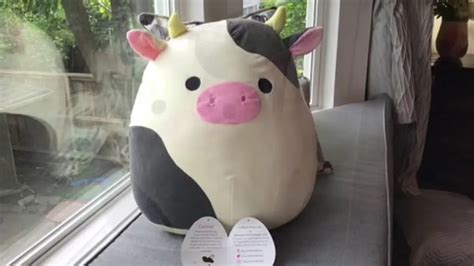 10 Most Rare Squishmallows The Mary Sue