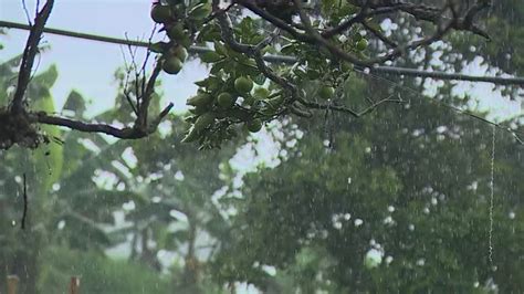 Cuál Es La Línea Para Reportar Emergencias Por Lluvias En El Valle ¡anota