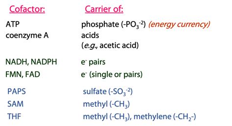 Adenosine Containing Cofactors BIOC 2580 Introduction To Biochemistry