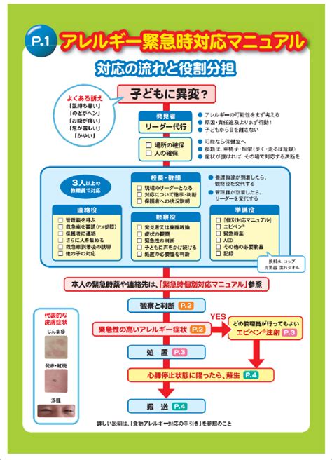 学校 の アレルギー 疾患 に対する 取り組み ガイドライン iskcontirupati net