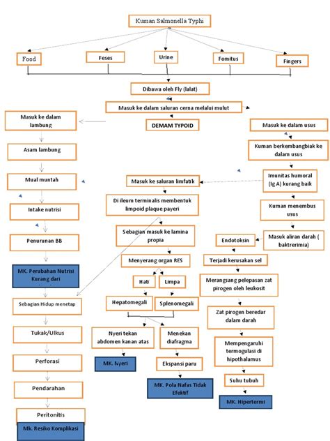 Woc Typhoid Fever Kel 10 Revisi Pdf