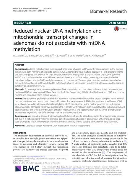 Pdf Reduced Nuclear Dna Methylation And Mitochondrial Transcript