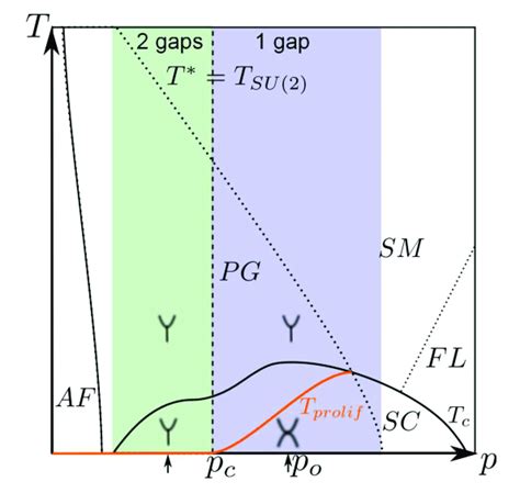 Color Online Schematic Temperature Doping T P Phase Diagram Of