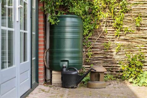 C Mo Instalar Un Sistema De Recolecci N De Agua De Lluvia En Casa