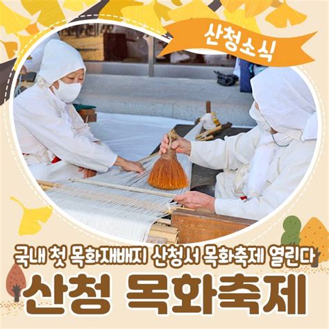 경남 산청 10월 축제 목화축제가 열립니다 경상남도 산청군 웰로