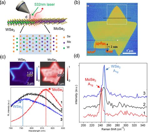 Lateral 2d Mose 2 Wse 2 Heterostructure A Sketch Of The Tepl