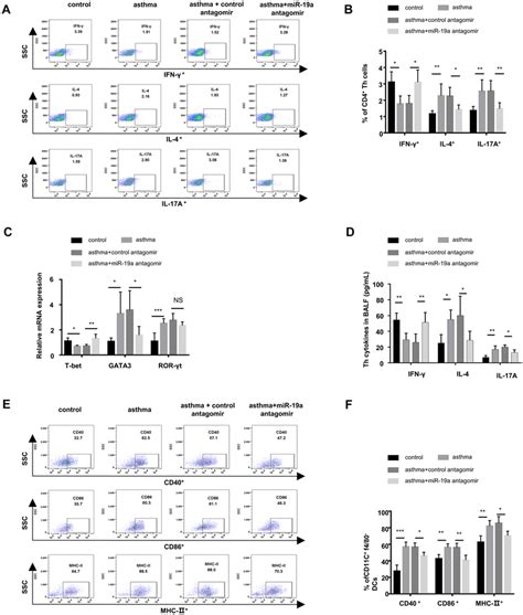 Mir 19a Antagomir Regulates Th Cell Differentiation And Attenuates The Download Scientific