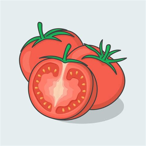 rebanada y todo de tomate dibujos animados vector ilustración rojo