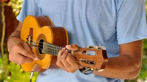 Les Instruments De Musique Typiques Du Brésil