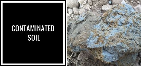 Ultimate Guide to Soil Remediation | Contaminated Soil Removal