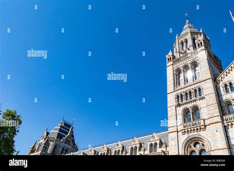 National History Museum in London Stock Photo - Alamy