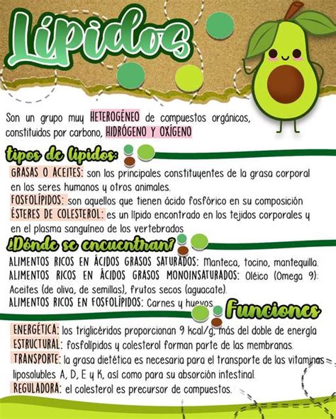 LÍPIDOS (Biomoléculas orgánicas) | Lípidos | Biomoléculas | uDocz