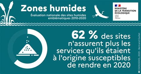 Vignettes Et Infographies Zones Humides