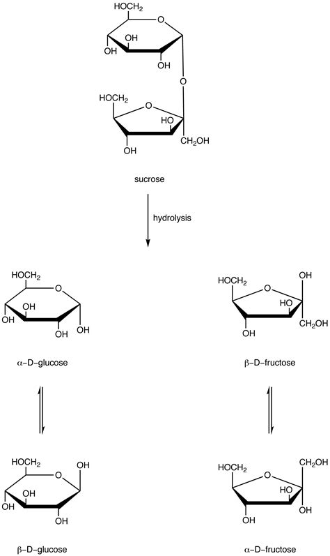 Oligosaccharide - Chemistry LibreTexts