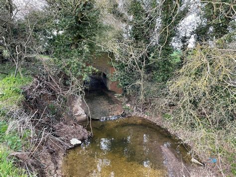 The Brook By Brookside Philip Jeffrey Geograph Britain And Ireland