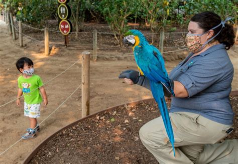 Santa Ana Zoo animals welcome back the humans – Orange County Register