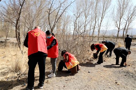 临泽县人民政府 新华镇：扮靓村貌迎新年