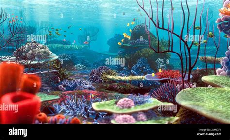 Finding Nemo Coral Reef Scene