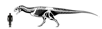 Tarascosaurus - Everything Dinosaurs