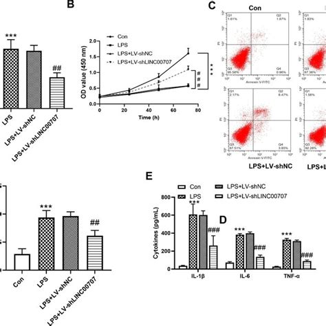 Reducing Linc Alleviates Lps Induced Inflammatory Damage And