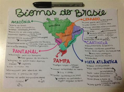 Mapas Mentais De Geografia