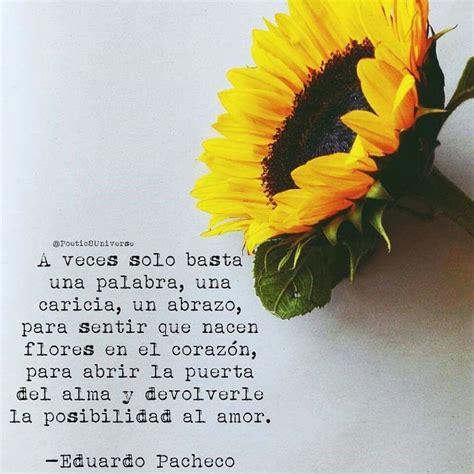 Total Imagen Girasoles Con Frases Bonitas Abzlocal Mx