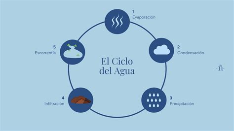 Diagrama Del Ciclo Hidrológico Una Guía Visual Para Entender La