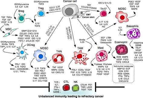 Frontiers Targeting Myeloid Villains In The Treatment With Immune