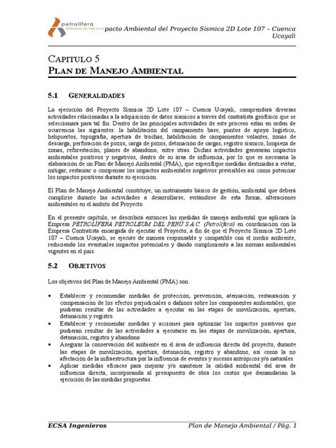 PDF Cap 5 Plan De Manejo Ambiental DOKUMEN TIPS