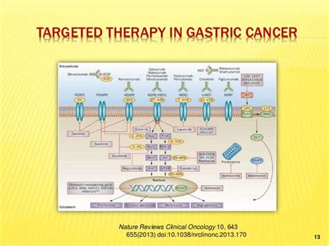 Updates In Gastric Cancer