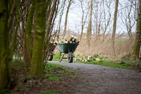 Wheelbarrow Wood To Chop Free Photo On Pixabay Pixabay