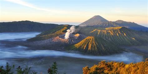 Menikmati Kehangatan Mentari Pagi Bromo Dan Pesona Bambu Di Desa Wisata